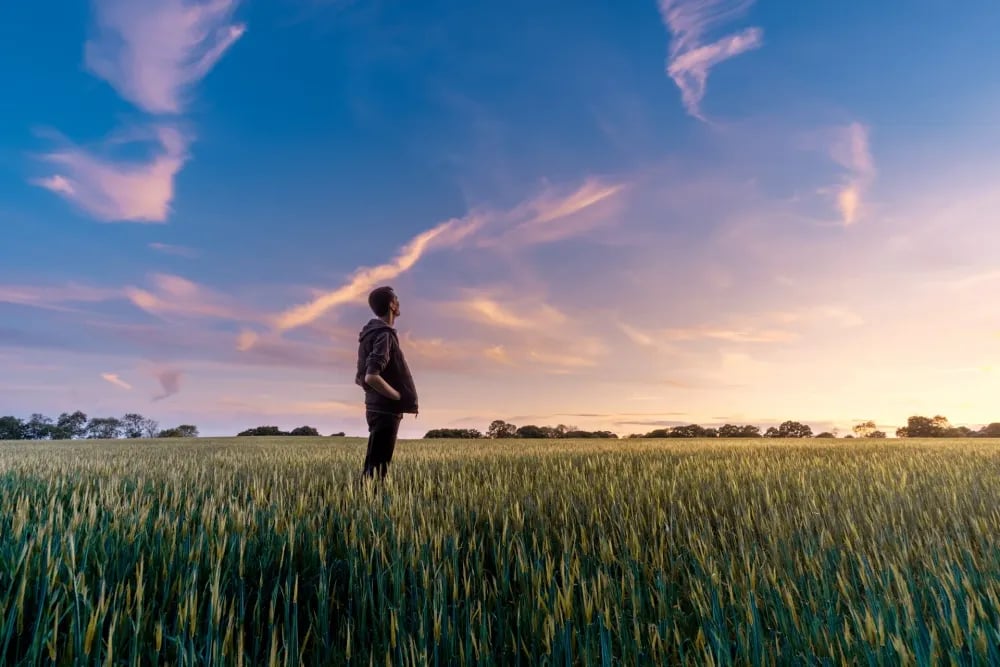 Étude : risques agroalimentaires