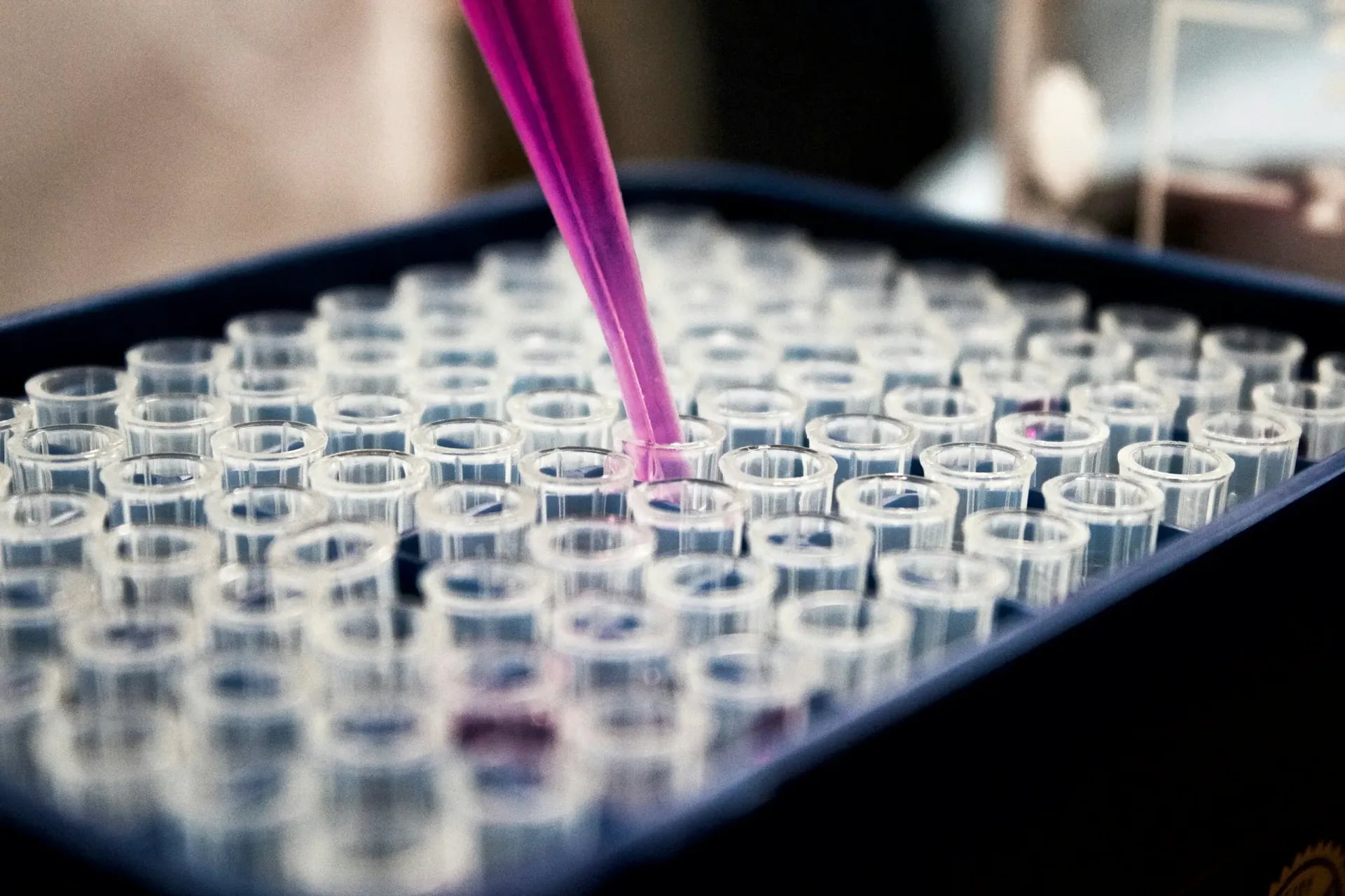 Photographie de tubes à essai dans un laboratoire par  Louis Reed