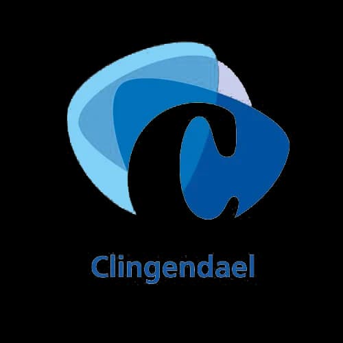Netherlands Institute of International Relations Clingendael