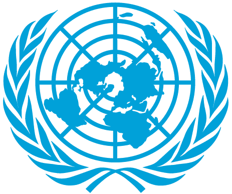 Organisation des Nations Unies